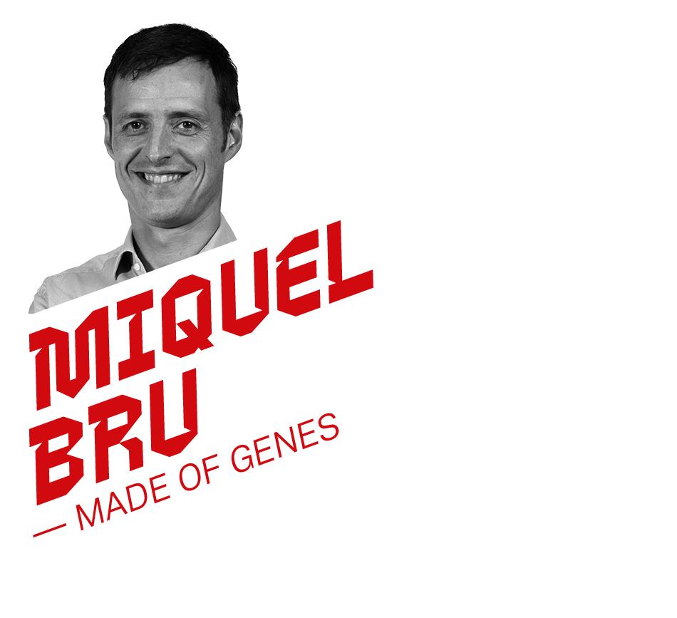 Miquel Bru