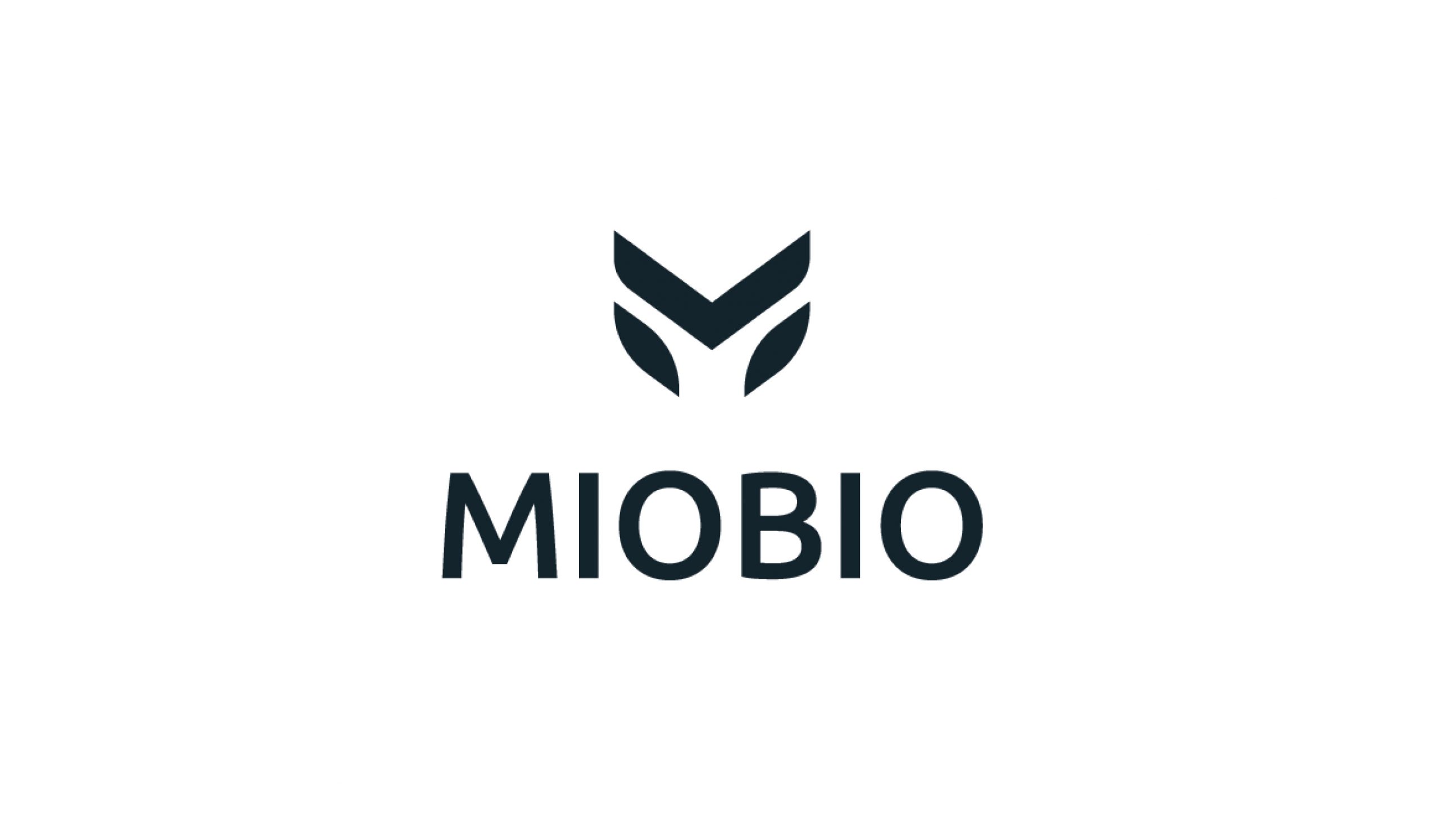 logos14
